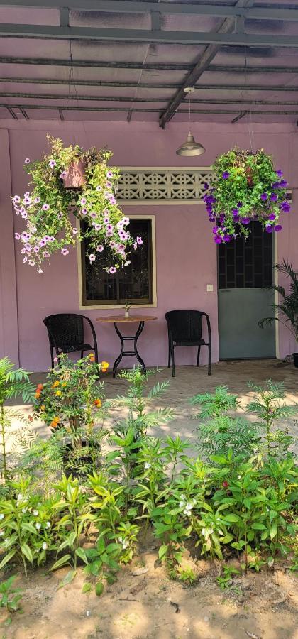 シェムリアップThe Purple Houseアパートメント 部屋 写真